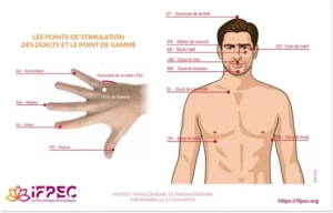 schéma corporel d'accupression EFT